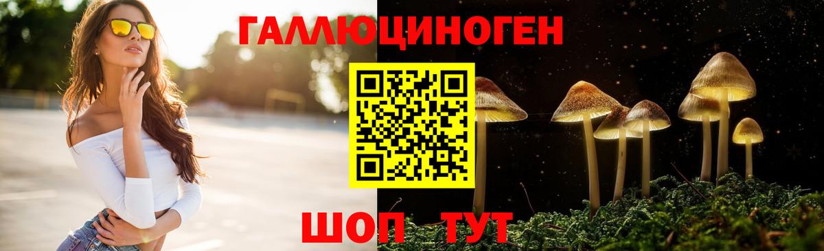 Псилоцибиновые грибы Psilocybe  Вход с VPN  Псилоцибиновые грибы Cubensis  Ростов-на-Дону 